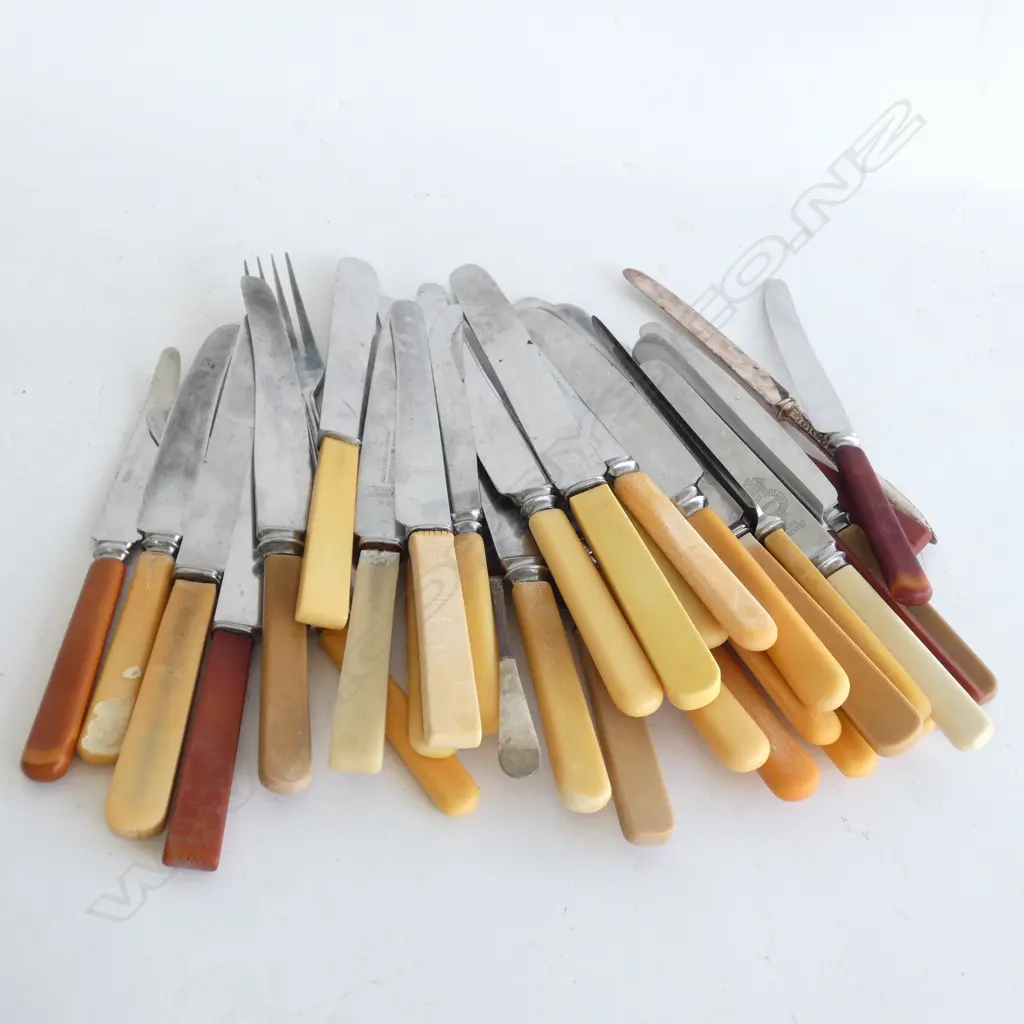 BAG BONE / CELLULOID HANDLED OLD KNIVES Image 1++