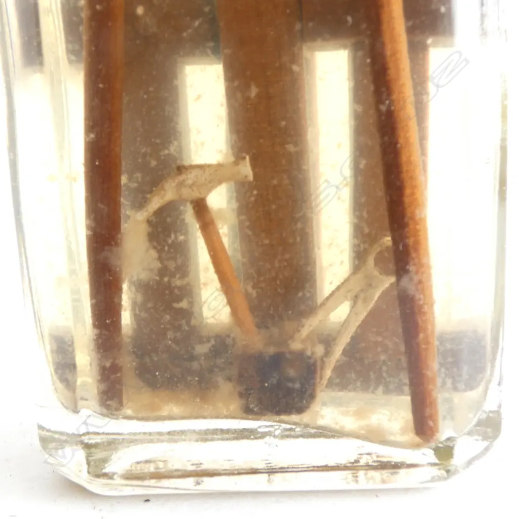 BRASS CASED ANEROID BAROMETER Dia.135mm & BRASS BINNACLE COMPASS HOOD ONLY & SHIP’S CARPENTERS MINI TOOLS IN BOTTLE Image 1++