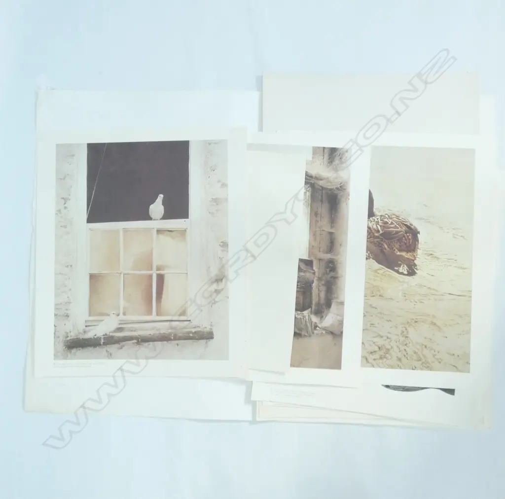 FOLIO OF ENGLISH BIRD PRINTS Image 1++
