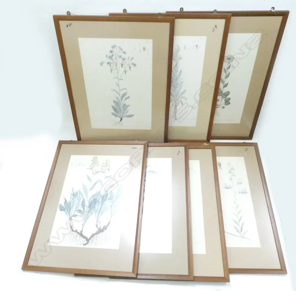 7 LG 19THC FRAMED BOTANICAL HAND COLOURED PRINTS... Image 1++