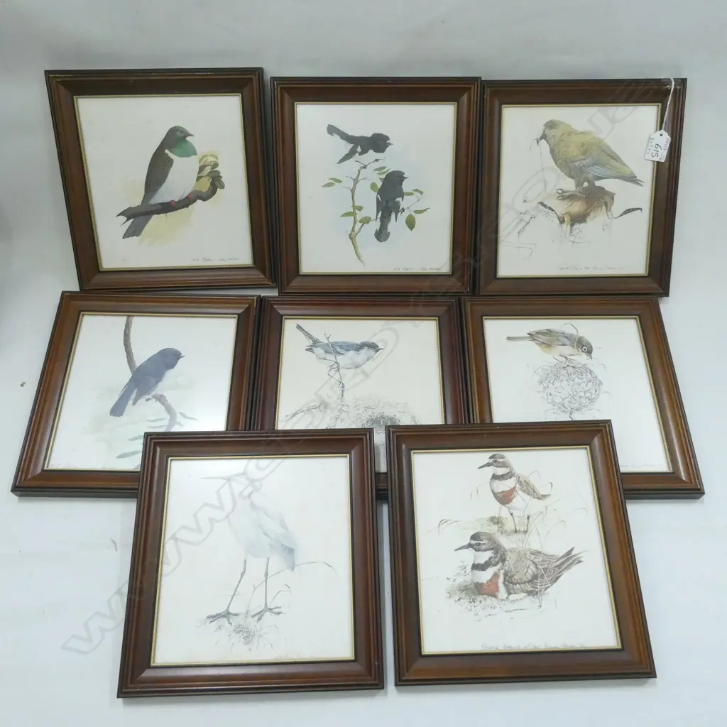 8 NZ BIRD WATERCOLOUR PRINTS; BILL HOWARD & BRUCE HARVEY C 1974/75 190 X 200MM + 4 OTHER BIRD PRINTS Image 1++