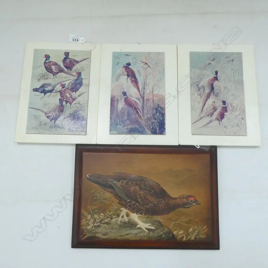 8 NZ BIRD WATERCOLOUR PRINTS; BILL HOWARD & BRUCE HARVEY C 1974/75 190 X 200MM + 4 OTHER BIRD PRINTS Image 1++