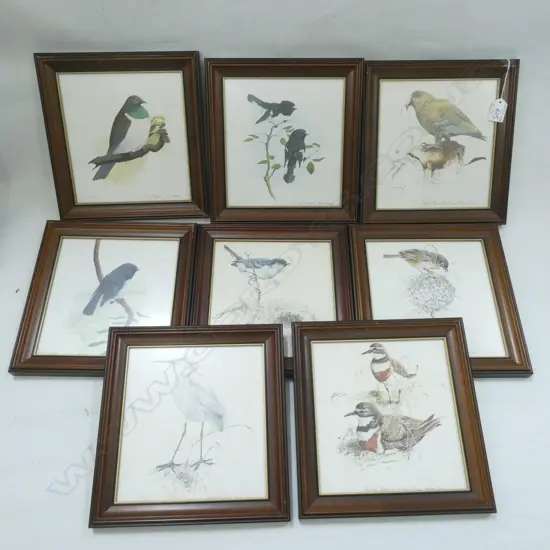 8 NZ BIRD WATERCOLOUR PRINTS; BILL HOWARD & BRUCE HARVEY C 1974/75 190 X 200MM + 4 OTHER BIRD PRINTS