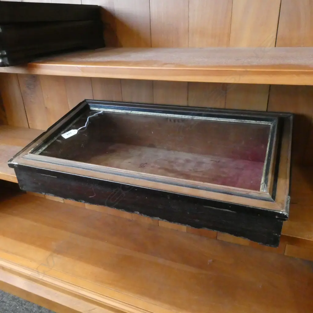 VICTORIAN DOVETAILED & GLASS TABLE VITRINE 520 x 290 x 130mm Image 1++