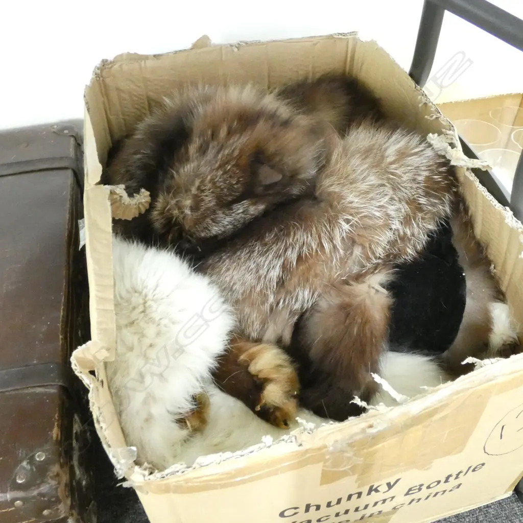 BOX LOT FURS - SOME WITH FOX HEADS Image 1++