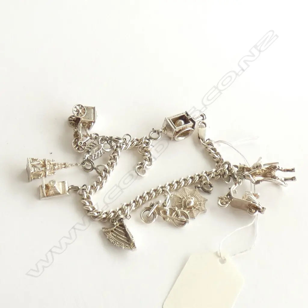 (60) SILVER CHARM BRACELET W 10 CHARMS Image 1++