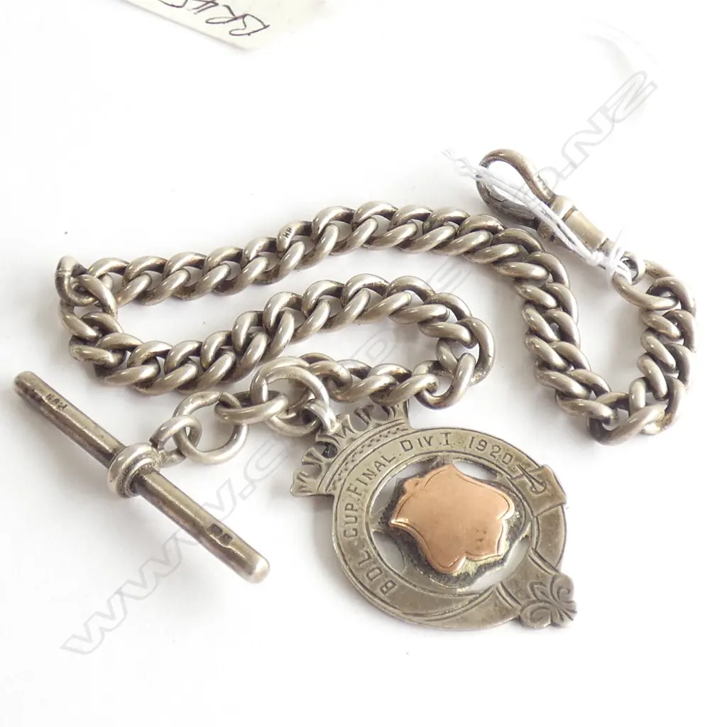 (CH9) SILVER GRADUATED FOB CHAIN T-BAR & MEDALION  Image 1++