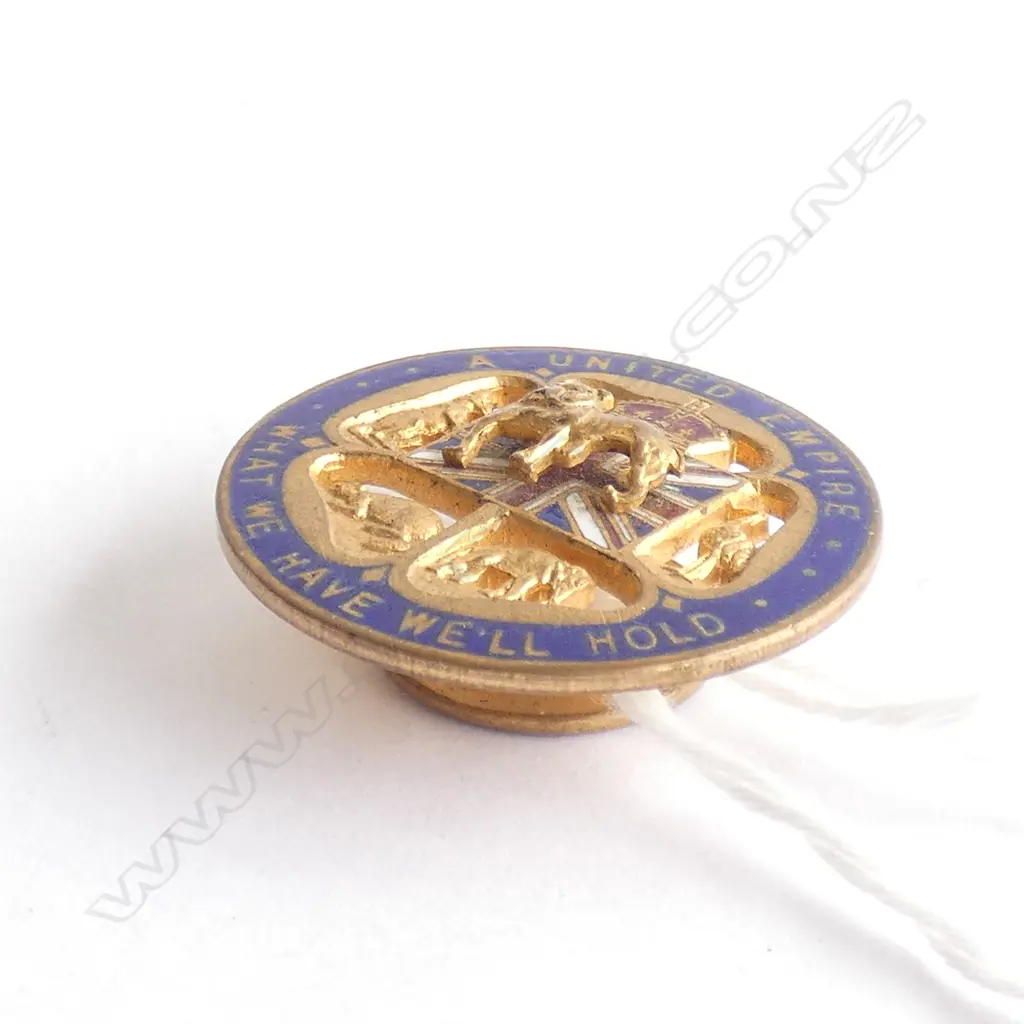 FIRST WORLD WAR PERIOD GILDED BRASS & ENAMEL BADGE Image 1++