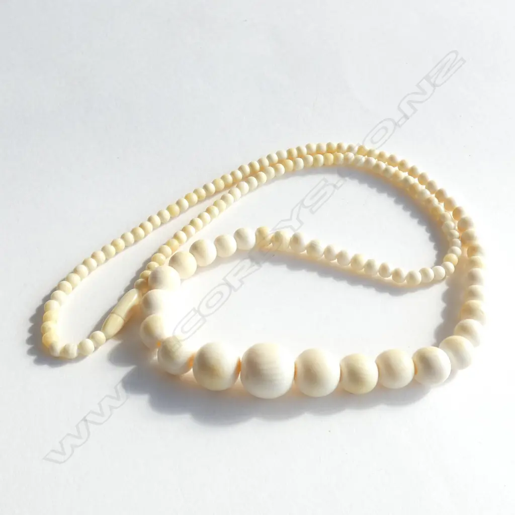 GRADUATING IVORY BEAD NECKLACE  Image 1++