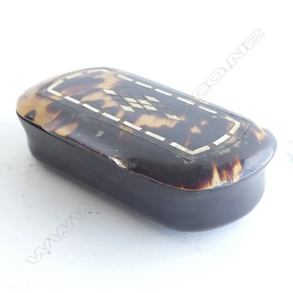 GEORGIAN HORN AND TORTOISESHELL SNUFF BOX WITH BONE SPOON Image 1++