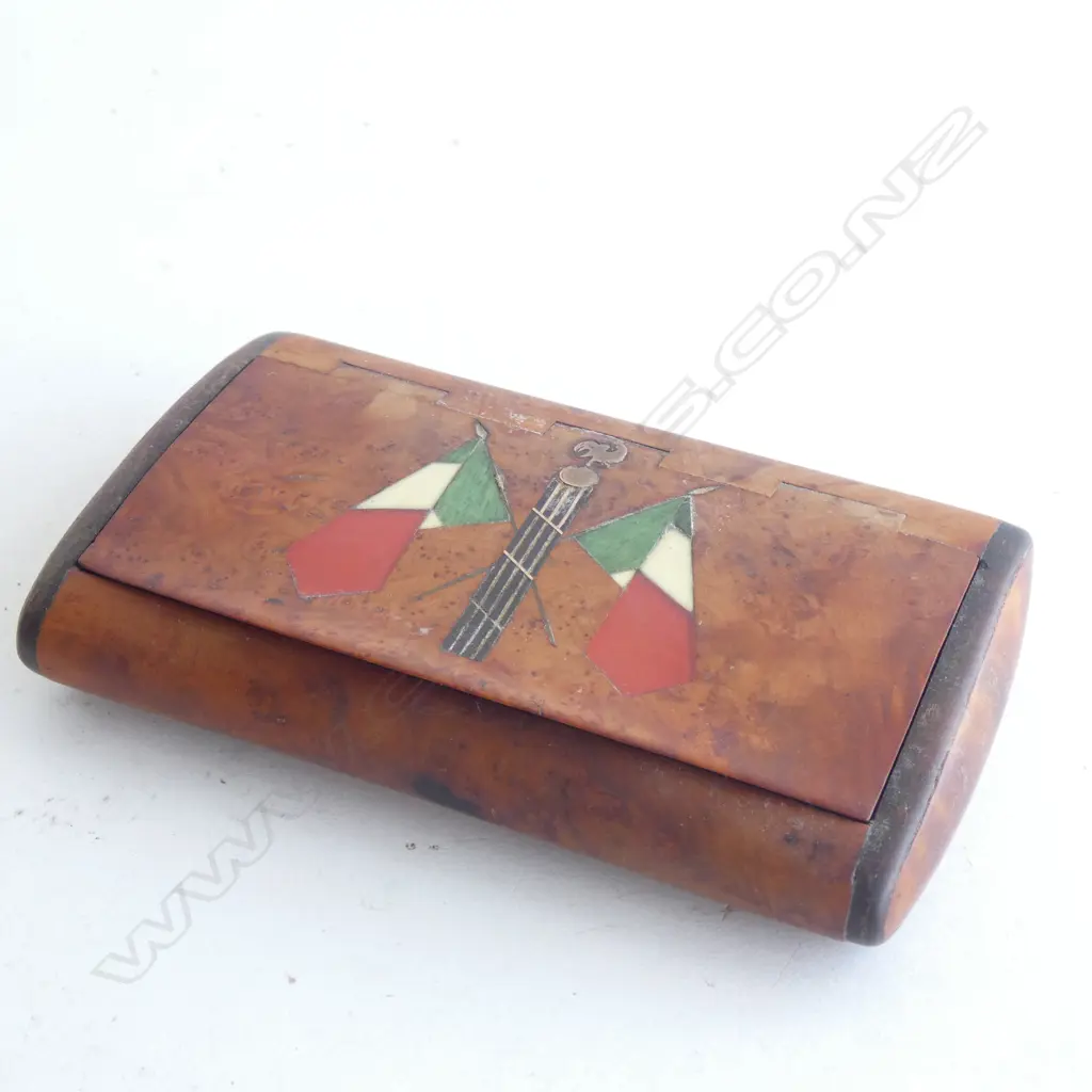 19THC BURR WALNUT AND TORTOISESHELL INLAID SNUFF BOX Image 1++
