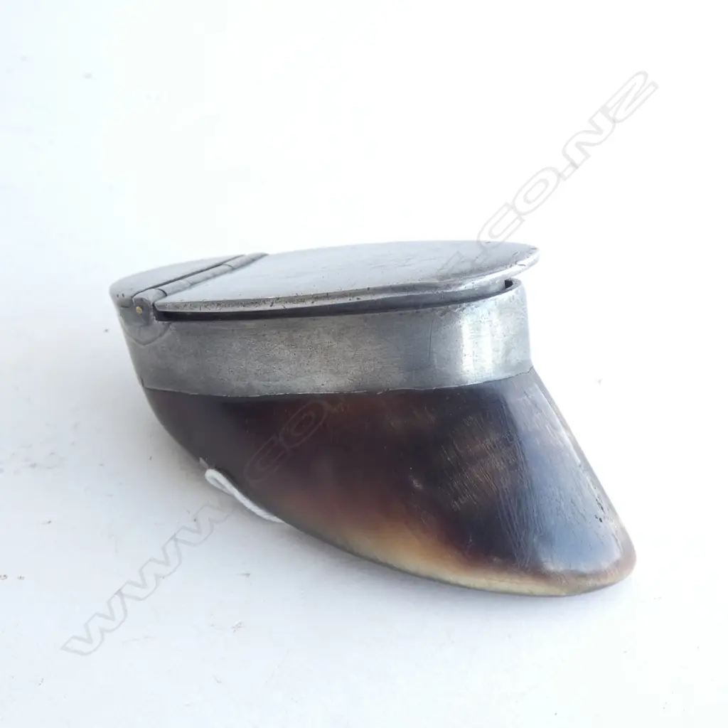 VICTORIAN HOOF AND PEWTER? SNUFF BOX Image 1++