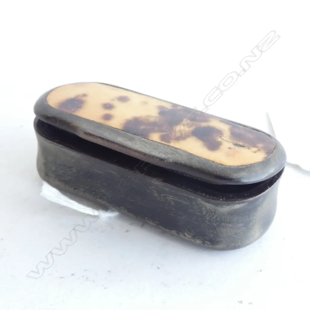 VICTORIAN HORN AND TORTOISESHELL SNUFF BOX Image 1++