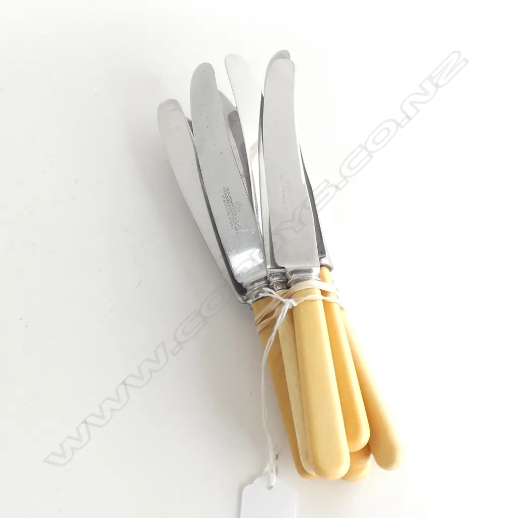 8 'BONE' HANDLED KNIVES  Image 1++