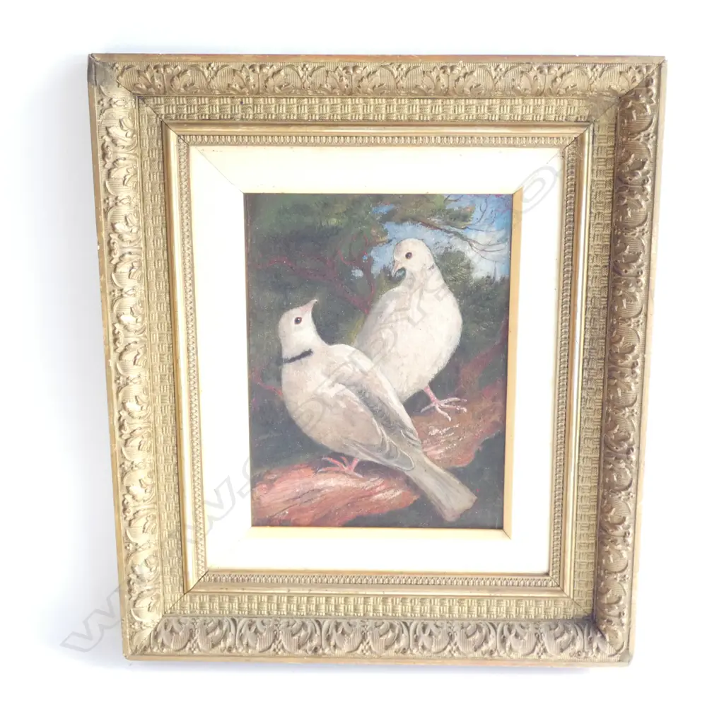 EARLY 20thC GILT FRAMED OIL ON CANVAS ON BOARD, INITIALLED CB, PAIR OF DOVES 170 x 220mm. Image 1++