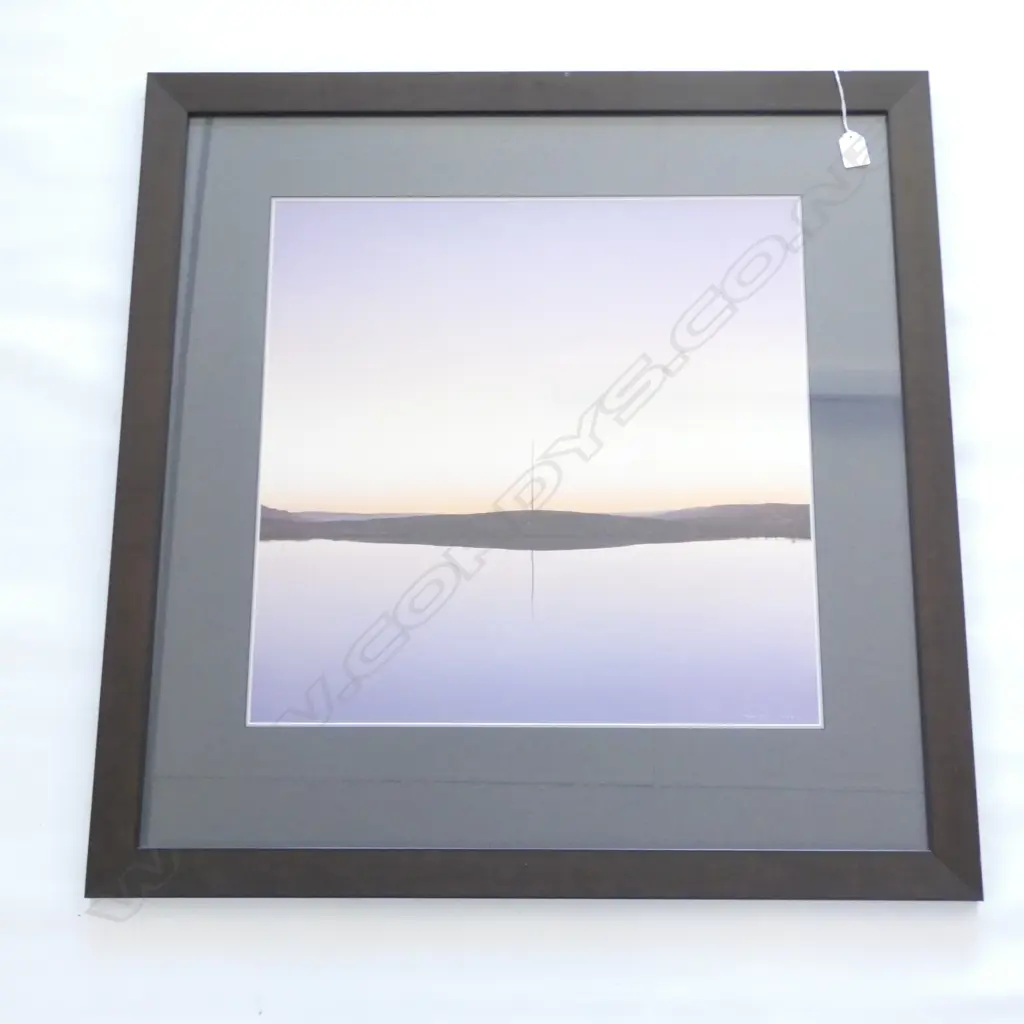 LG FRAMED PRINT 'PIG ROOT POND' BY GRAHAME SYDNEY '93  490 X 490MM Image 1++