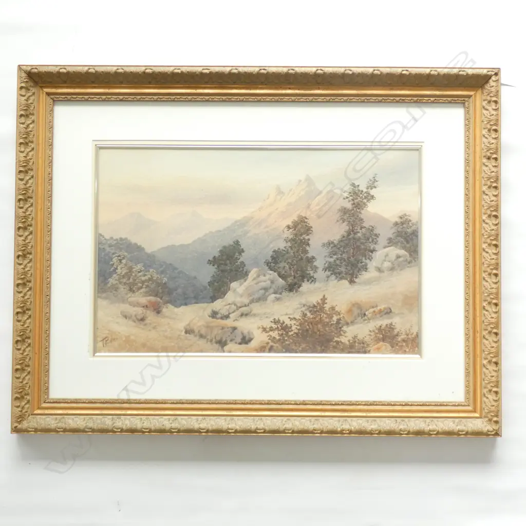 TOM PEERLESS MOUNTAIN LANDSCAPE W/C 355x555mm Image 1++