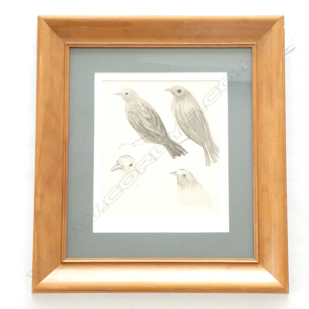 JOHN WEEKS ‘SONG THRUSH’ WATERCOLOUR STUDY WEEKS-O’CONNOR ESTATE STAMP VERSO. 220mm x 190mm Image 1++