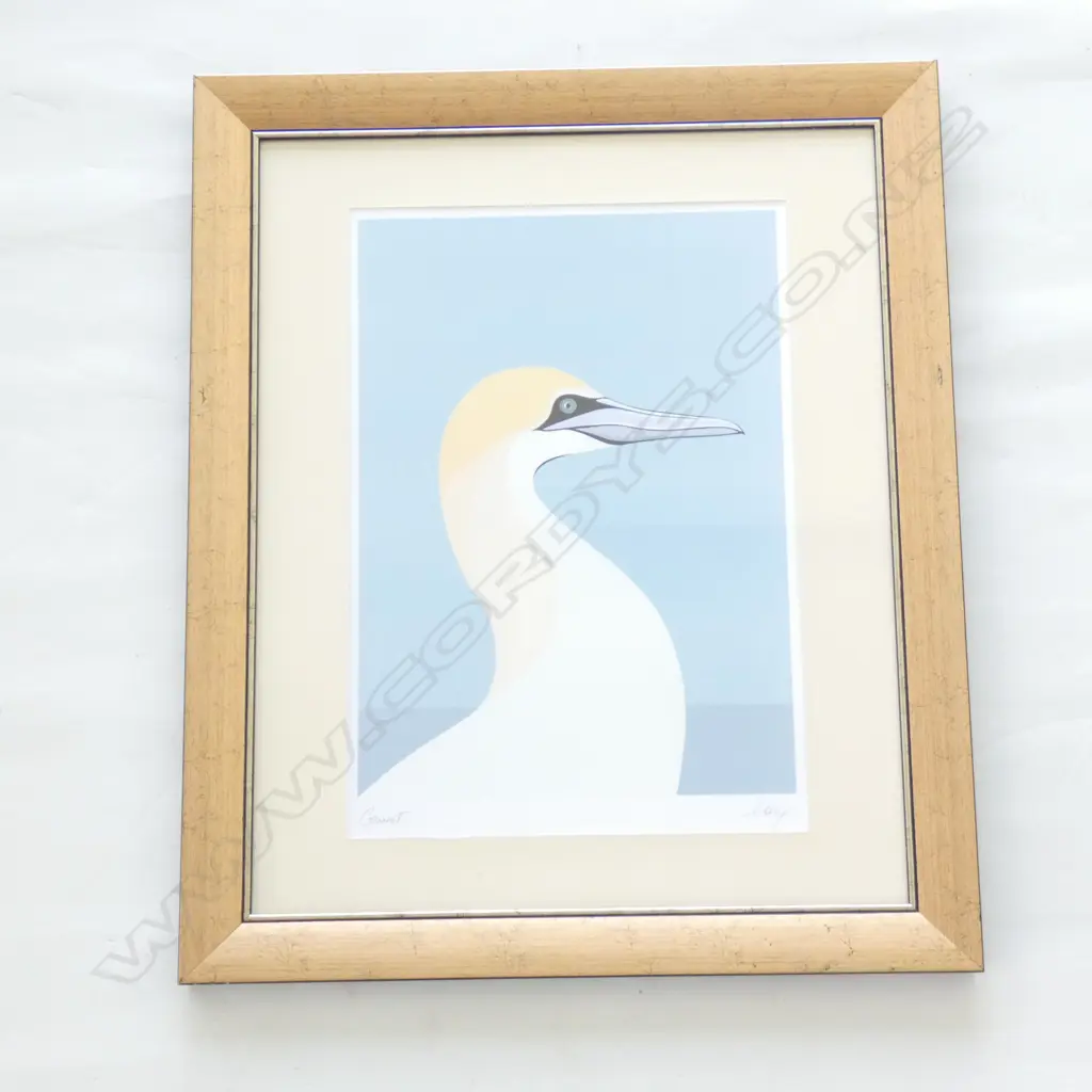 CATHY HANSBY ‘GANNET’ SIGNED. 400mm x 280mm Image 1++