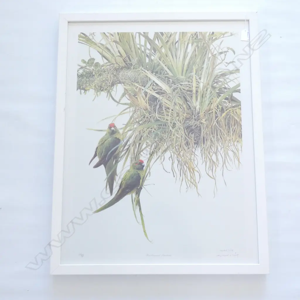 RAYMOND CHING 'RED CROWNED PARAKEETS' LTD. ED 690/850  480 X 710MM Image 1++