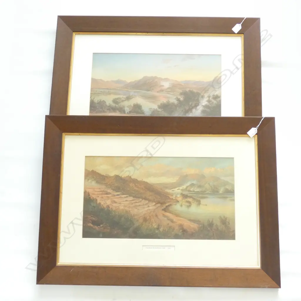 2 CHARLES BLOMFEILD PINK TERRACES PRINTS 330 X 500MM Image 1++