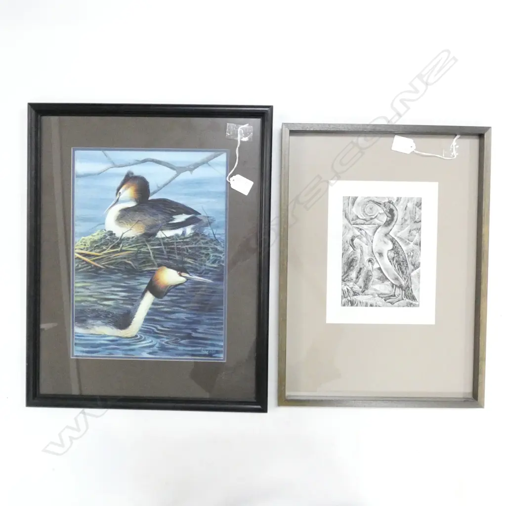 FRAMED W/COLOUR BIRDS +RONA DYER PRINT 15/25 340 X 250 MM Image 1++