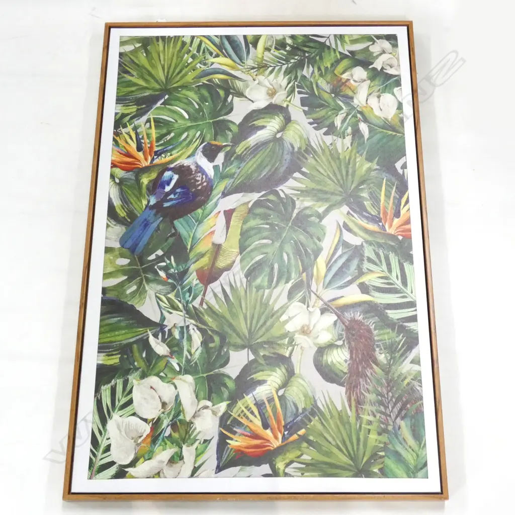 NZ  NATIVE BIRDS FRAMED PRINTED ARTWORK  Image 1++