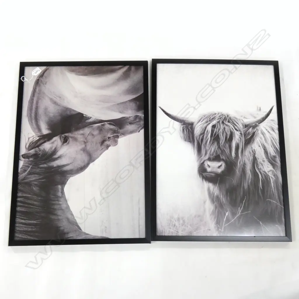PAIR B/W PHOTOPRINT FRAMED ARTWORKS Image 1++