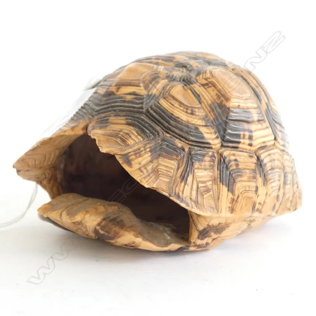 SMALL TORTOISE SHELL - 135MM Image 1++