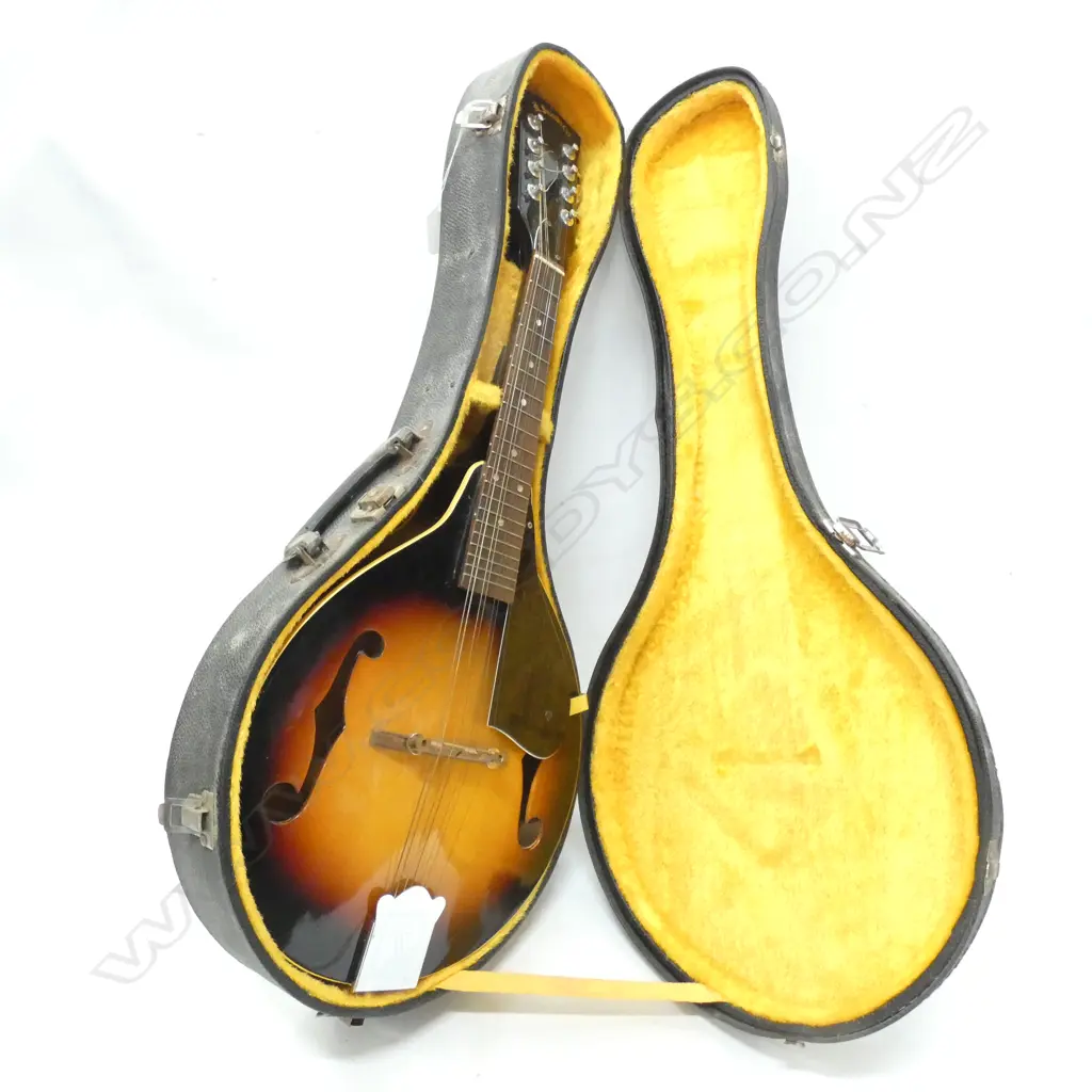 CASED KIZO SUZUKI KM 100 MANDOLIN L 600 MM Image 1++