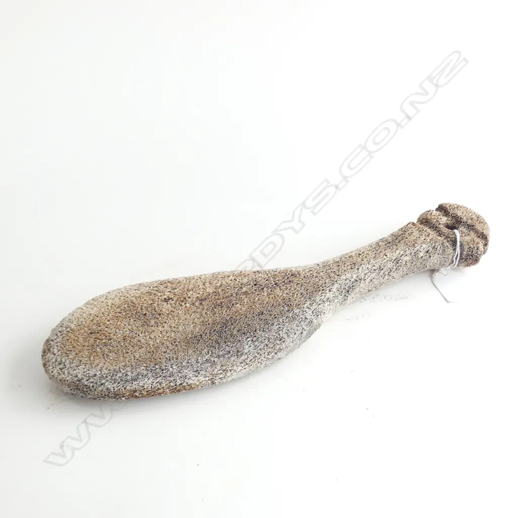 PATU PAROA, 350mm, POROUS, UNKNOWN ORIGIN, TRAINING?, EX JOHN PERRY COLLECTION Image 1++