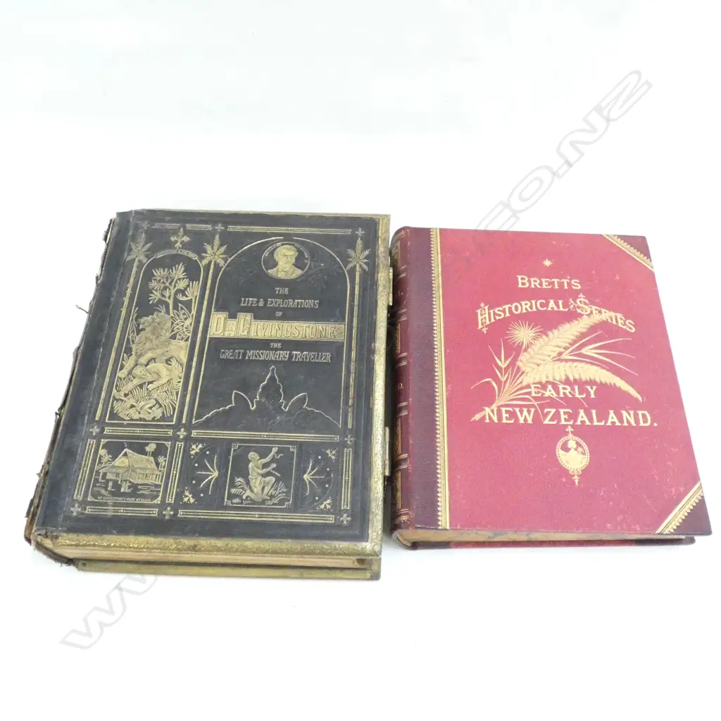 THE LIFE & EXPLORATIONS OF DR. LIVINGSTONE THE GREAT MISSIONARY TRAVELLER  Image 1++