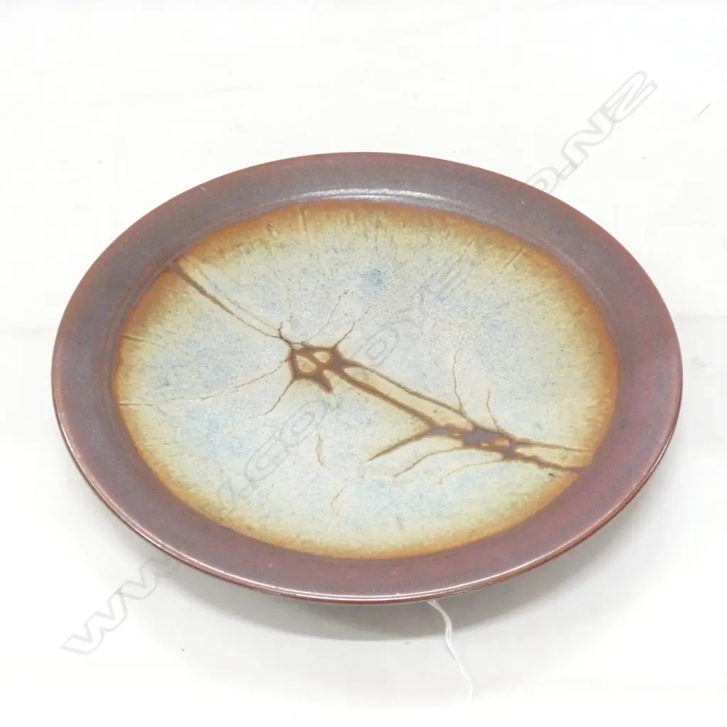 PETER STICHBURY PLATE D 260 MM Image 1++