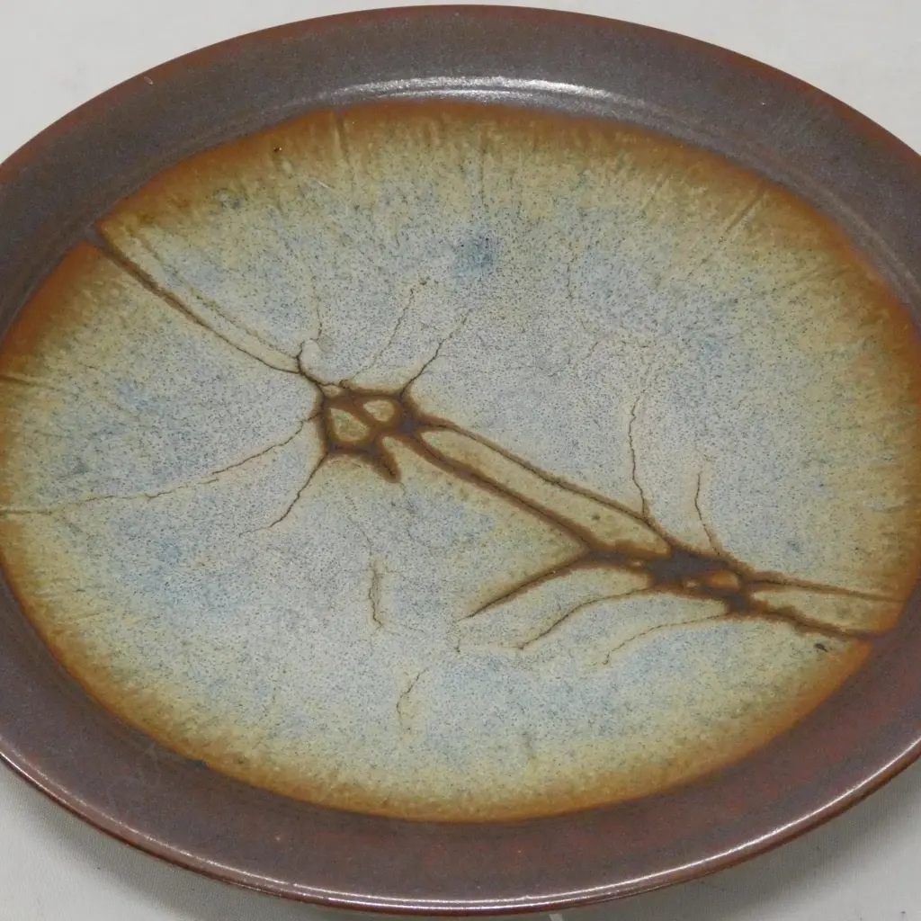 PETER STICHBURY PLATE D 260 MM Image 1++