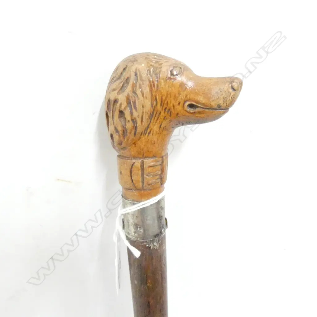 WOODEN WALKING STICK - DOG HANDLE & STG SILVER COLLAR  Image 1++