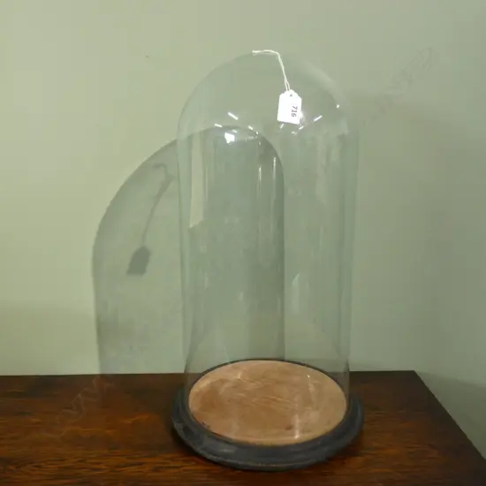 LARGE VICTORIAN GLASS DISPLAY DOME H.510mm