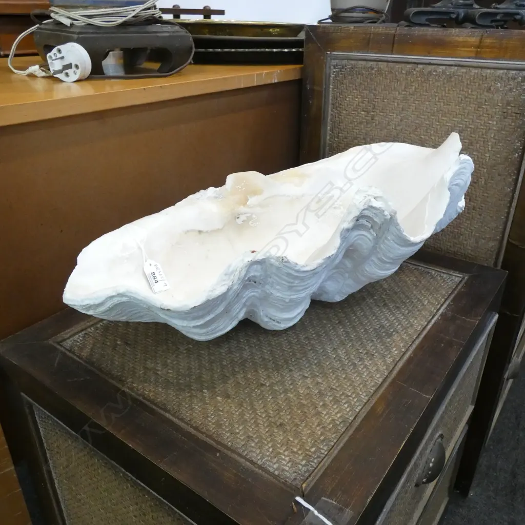 LARGE HALF CLAM SHELL W.480mm Image 1++