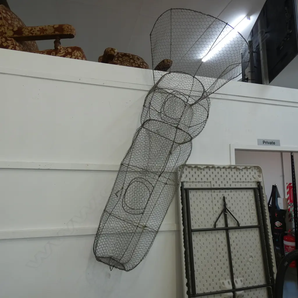 EEL NET Image 1++