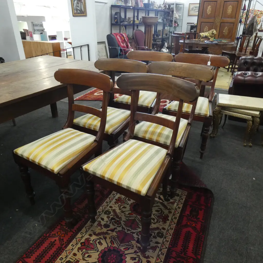 SET OF 6 REGENCY BLADE BACK DINING CHAIRS, WYCOMBE CANED SEATS WITH CUSHIONS Image 1++