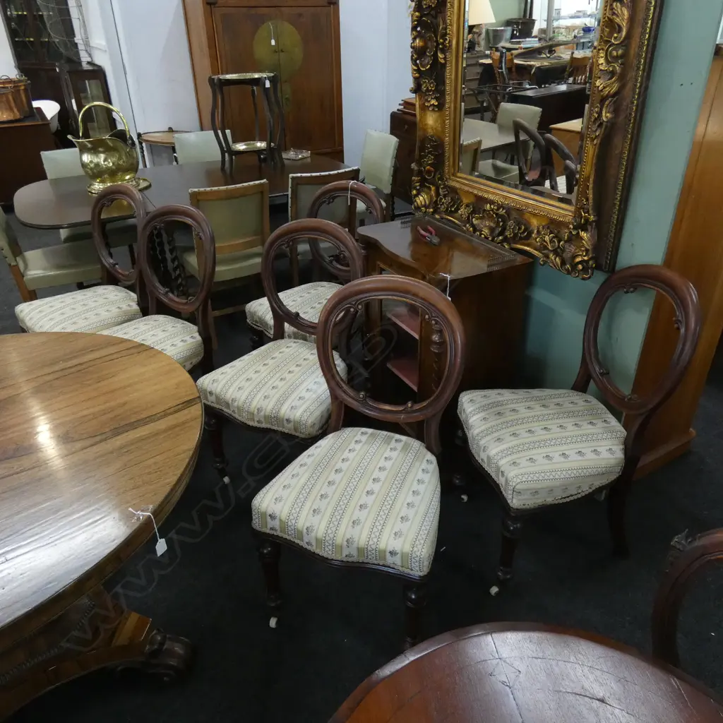 SET OF 6 VICTORIAN BALLOON BACK CHAIRS Image 1++