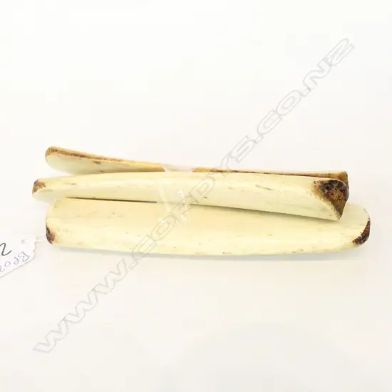 3 MUSICAL BONES WHALE BONE VERTEBRAE L.140MM