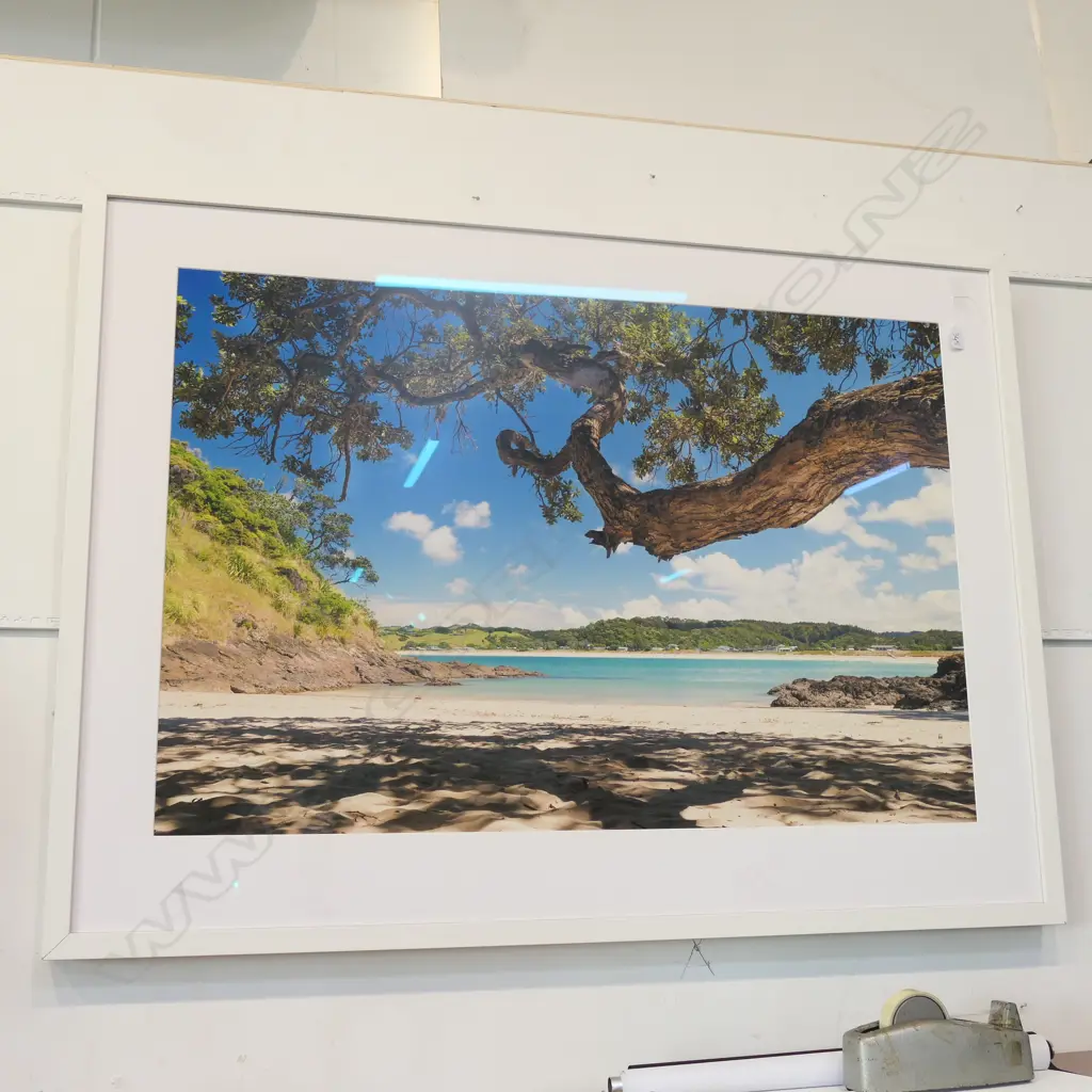POHUTUKAWA PHOTOGRAPH FRAMED WITH MUSEUM GLASS 1385MM W X 1020MM H Image 1++