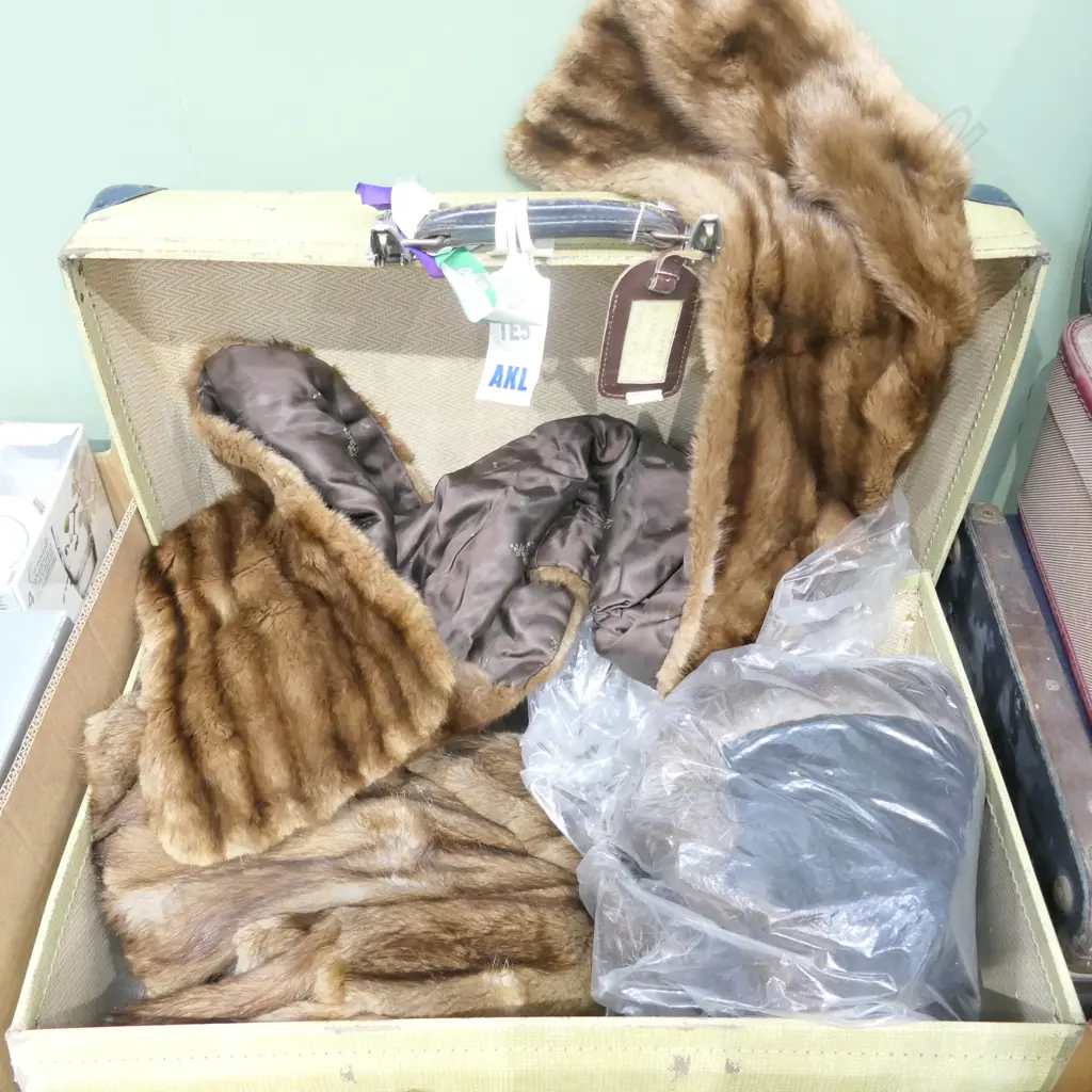 SUITCASE WITH 3 VINTAGE FURS Image 1++