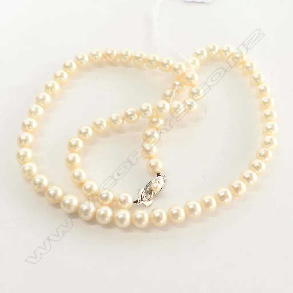 CULTURED PEARL NECKLACE SILVER CLASP Image 1++