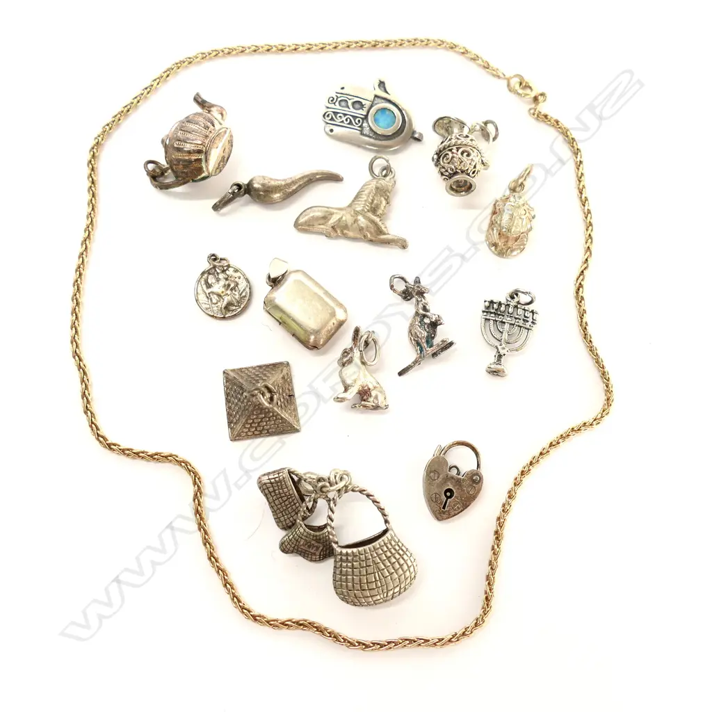 BAG OF SILVER CHARMS Image 1++