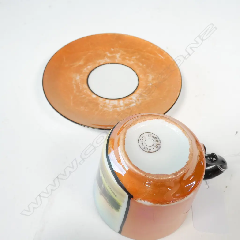 GERMAN ROTORUA WHARE CUP AND SAUCER Image 1++