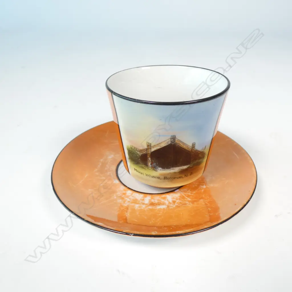 GERMAN ROTORUA WHARE CUP AND SAUCER Image 1++