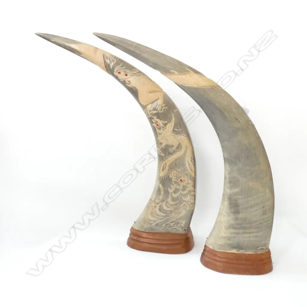 PR CARVED BUFFALO HORNS H. 450MM Image 1++