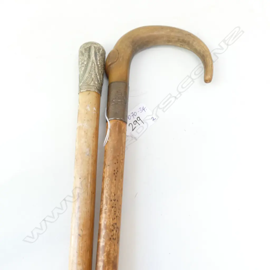 'DEATH ON NELSON' MEMORIAL WALKING STICK HORN HANDLE + OTHER Image 1++