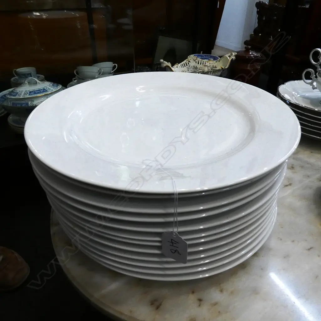 12 LARGE WHITE PLATES 310MM DIA Image 1++